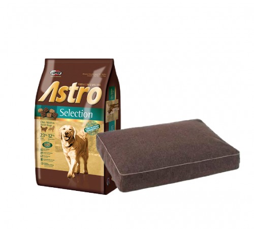 Astro Adulto 17k Selection + Colchonea